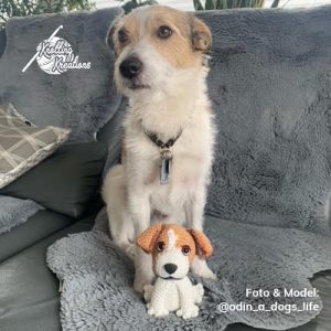 Odin