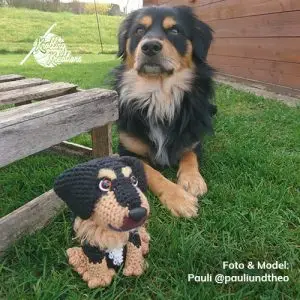 Pauli