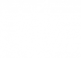 weiß_kein rand